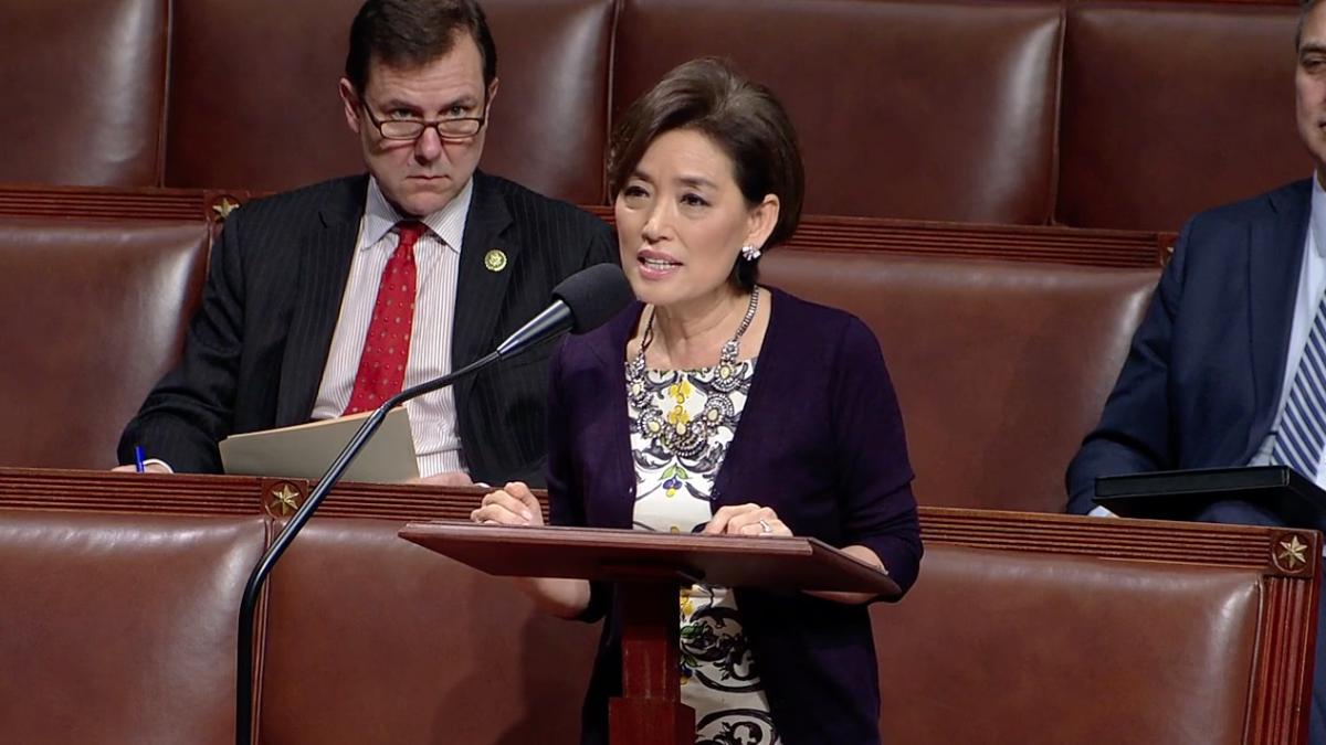 Rep. Young Kim Gives Floor Speech